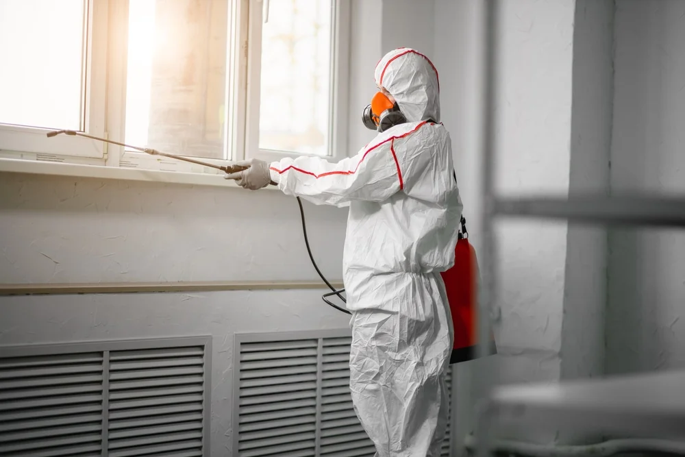 Professional mold remediation services in Savannah, MO